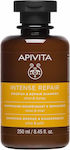 Apivita Intense Repair Olive & Honey Shampoos Reconstruction/Nourishment for All Hair Types 250ml