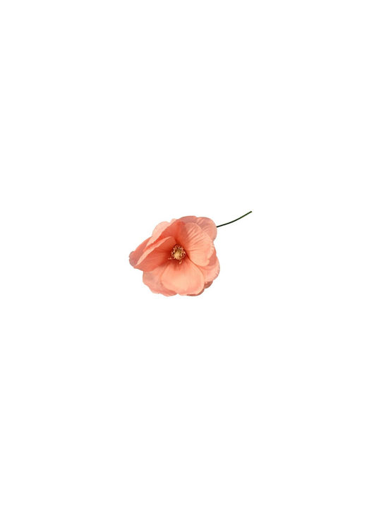Μανόλια Ροζ 10cm Arpimex Srl