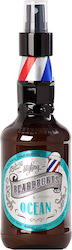 Beardburys Spray De Păr Ocean Sea Salt Beardburys Spray De Păr Ocean Sea Salt