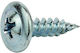 Helix Blechschraube mit Länge 19mm 1000Stück