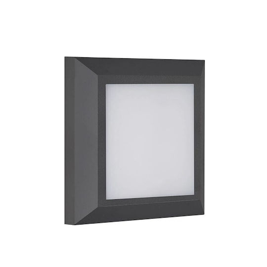 Redled Lumină de exterior montată pe perete LED IP65 6W cu Alb reglabil Lumină