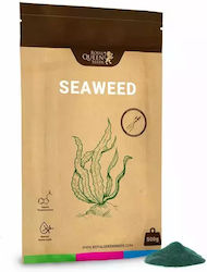 Royal Queen Seeds Λίπασμα Φυκιών Royal Queen Seeds Λίπασμα Φυκιών