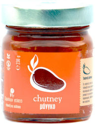 Δαρνάκων Γεύσεις Chutney 230gr
