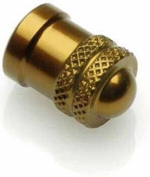 Lightech Motorcycle Tire valves Gold VALORO Lightech Motorcycle Tire valves Gold VALORO