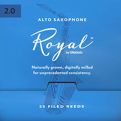 Daddario Woodwinds Καλάμι RJB0120-B25