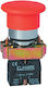 Elmark El2bc 42 Μπουτόν Ράγας 230V 6A