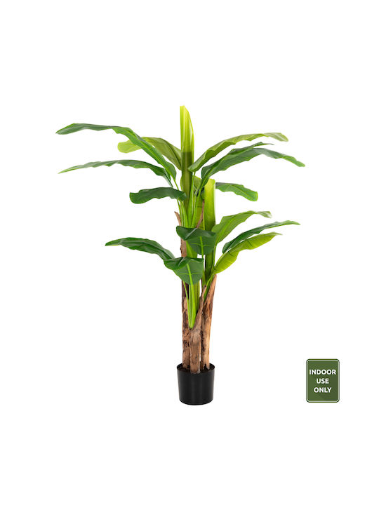 aesthetic zimmerpflanzen Tierfreundliche Hngepflanzen bestellen  Green Me Up