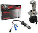 Limastar Lamps Car & Motorcycle H4 Xenon 6000K Cold White 12V 1pcs