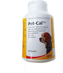 Zoetis Pet-cal for Dogs in Syrup