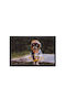 Hamat Πατάκι Εισόδου Raincoat Dog Γκρι 40x60εκ.