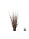 Artificial Plant in Pot Brown 120cm Freebox