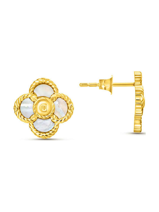 Cerruti Earrings made of Steel Gold Plated