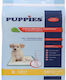 Puppies Puppies Training Dog Floor Diapers 60x60cm - 60cm 1pcs