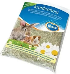 Klouvotechniki Hackschnitzel für Nagetierkäfig 0.5kg