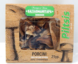 Porcini Mushrooms Dried 25gr