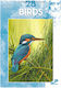 Leonardo Collection, 28, Birds
