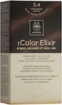 Apivita My Color Elixir Set Vopsea de Păr fără amoniac 5.4 Castan bronz deschis castaniu 125ml