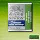 Winsor & Newton Νερομπογιά Πράσινη