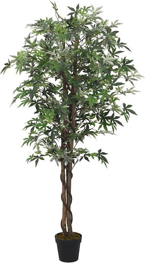 Σφένδαμος σε Γλάστρα 80cm vidaXL