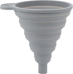 Pâlnie Din Silicon