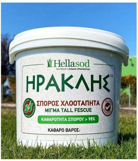 Hellasod Семена Orange 1kg