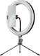 Apexel APL-FL10JJ13Y Ringlicht 26cm mit Bodenstativ mit Desktop Ständer und Handyhalter