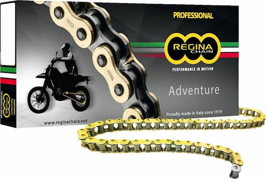 Regina Chain & Sprocket Kit for BMW F 800