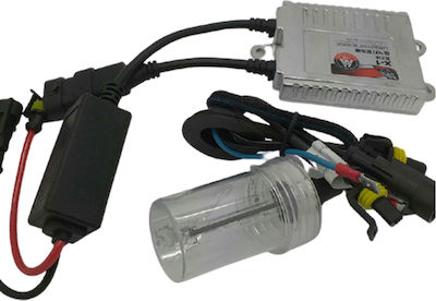 Car Xenon Kit H1 12V