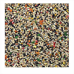Donald Pet Care Vogelfutter 1kg