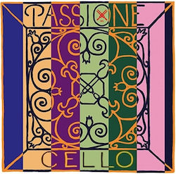 Pirastro Passione Μονή Χορδή D (Ρε) Pirastro Passione Μονή Χορδή D (Ρε)