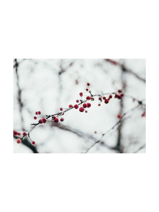 Walls Αφίσα Winterberry 50x40cm