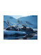 Walls Poster Reindeer On Snow 20x15cm