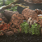 vidaXL Aquarium Decoration Stone 155324