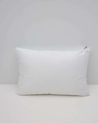 Pennie Sleep Pillow 50x70cm