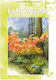 Leonardo Collection, 15, Landscapes