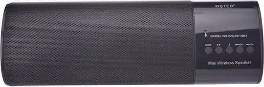 WSTER Ηχείο Bluetooth 3W με Ραδιόφωνο και Διάρκεια Μπαταρίας έως 5 ώρες Μαύρο WS-2519BT