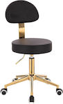 Salon Stools Scaun