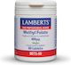 Lamberts Methyl Folate Συμπλήρωμα για την Εγκυμοσύνη 60 ταμπλέτες
