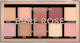 Profusion Cosmetics Profusion 10 Shade Eye Shadow Palette in Solid Form Bare Rose