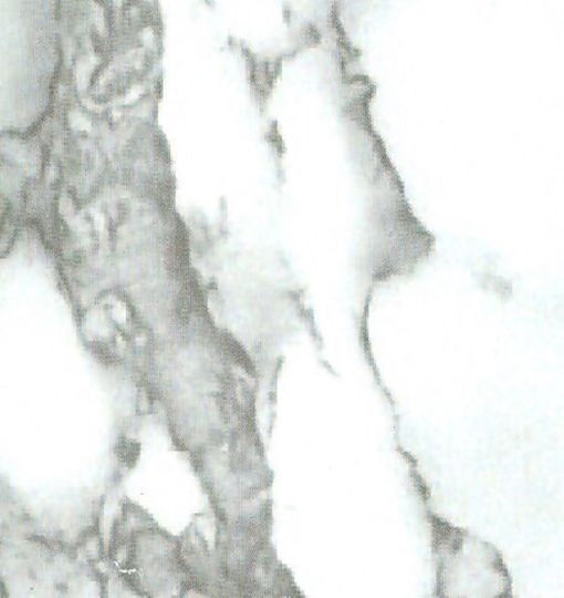 Dekorativer Aufkleber Wand 1Stück 45x200cm CMSpa