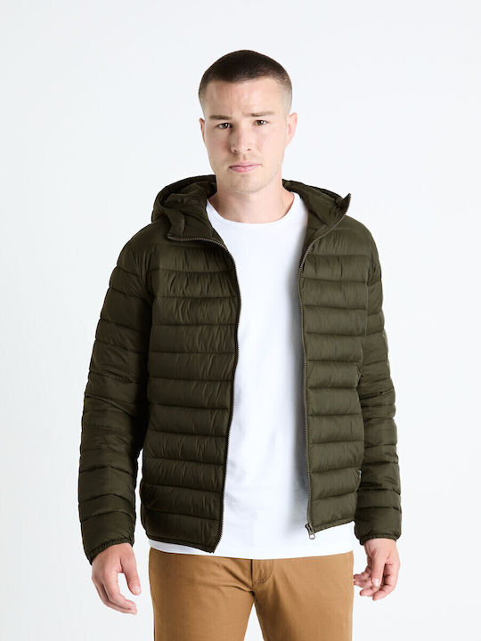 Celio Celio