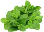 Oikogeneia Giamarelou Mint 40gr