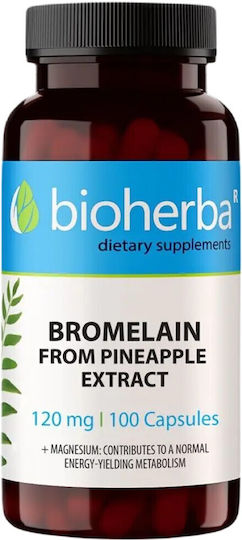 Bioherba Bromelain From Pineapple Extract 120mg 100 κάψουλες