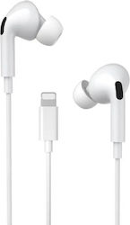 Jellico In-Ear Freihändig Kopfhörer mit Stecker Blitzschlag Weiß Jellico In-Ear Freihändig Kopfhörer mit Stecker Blitzschlag Weiß