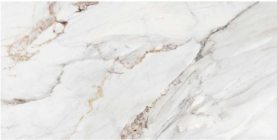Roca Плочка За под На закрито Сияен 120x60см White Glossy