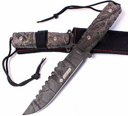 Kandar K17 Kandar K17