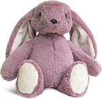 WP Merchandise Plush 34 cm