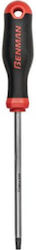 Benman Long Torx Screwdriver
