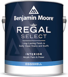 Benjamin Moore Regal Пластмасов Боя Акрил за Вътрешен Употреба Eggshell 946мл Benjamin Moore Regal Пластмасов Боя Акрил за Вътрешен Употреба Eggshell 946мл