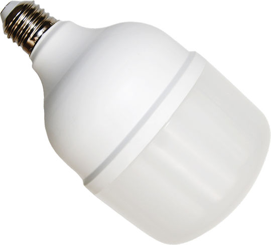 Adeleq LED-Lampe 28W 100mm für Fassung E27 Kühles Weiß